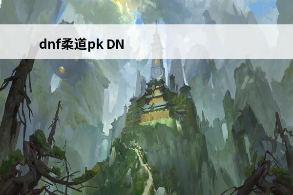 dnf柔道pk DNF柔道PK点暴力抓取加到多少？