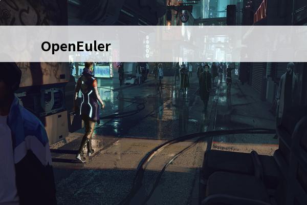 OpenEuler 