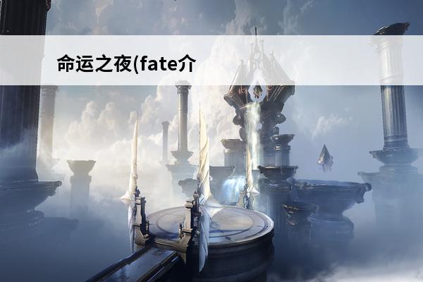 命运之夜(fate介