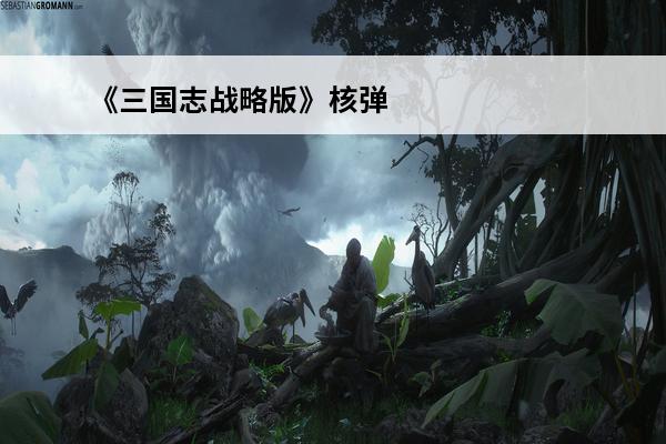 《三国志战略版》核弹流姜维(三国志战略版核弹姜维曹操周泰)