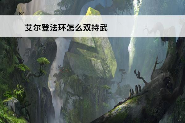 艾尔登法环怎么双持武