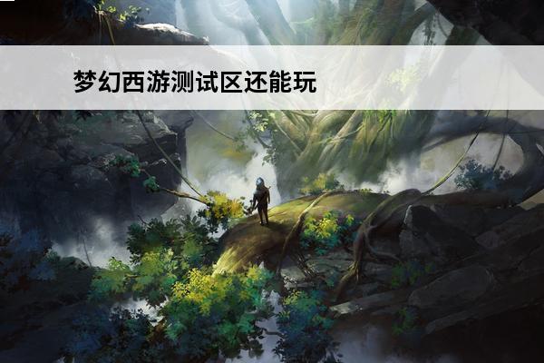 梦幻西游测试区还能玩吗 梦幻西游无双版还能玩吗