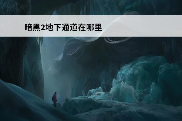 暗黑2地下通道在哪里暗黑2地下通道在何处(暗黑2去黑暗森林的地下通道在哪)