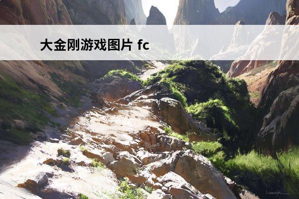 大金刚游戏图片 fc