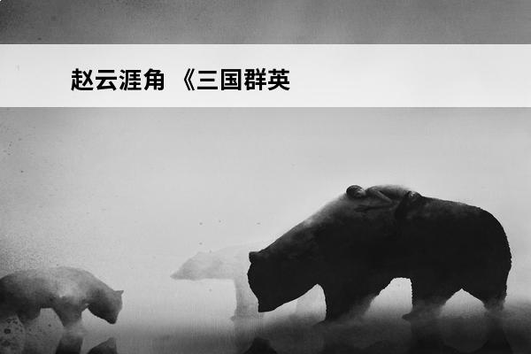 赵云涯角 《三国群英传8》涯角枪怎么样涯角枪图鉴一览