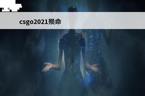 csgo2021殒命