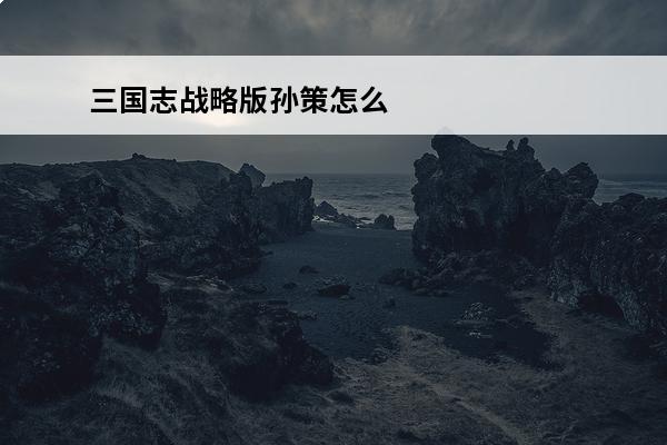 三国志战略版孙策怎么